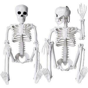 2pcs Skeleton Halloween Decoration, 16” Full Body Posable Halloween Skeleton